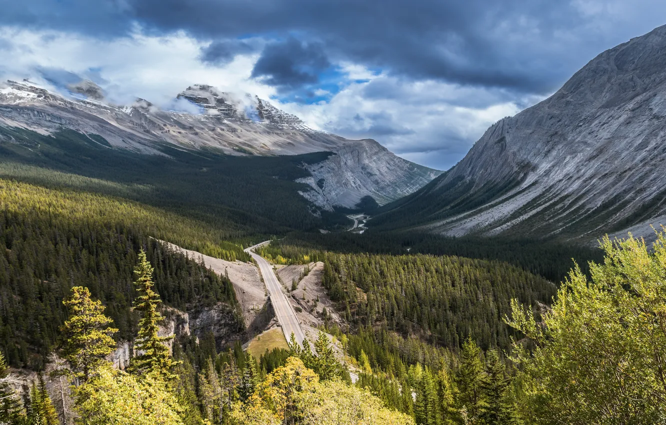 Photo wallpaper road, forest, clouds, trees, mountains, branches, clouds, tops