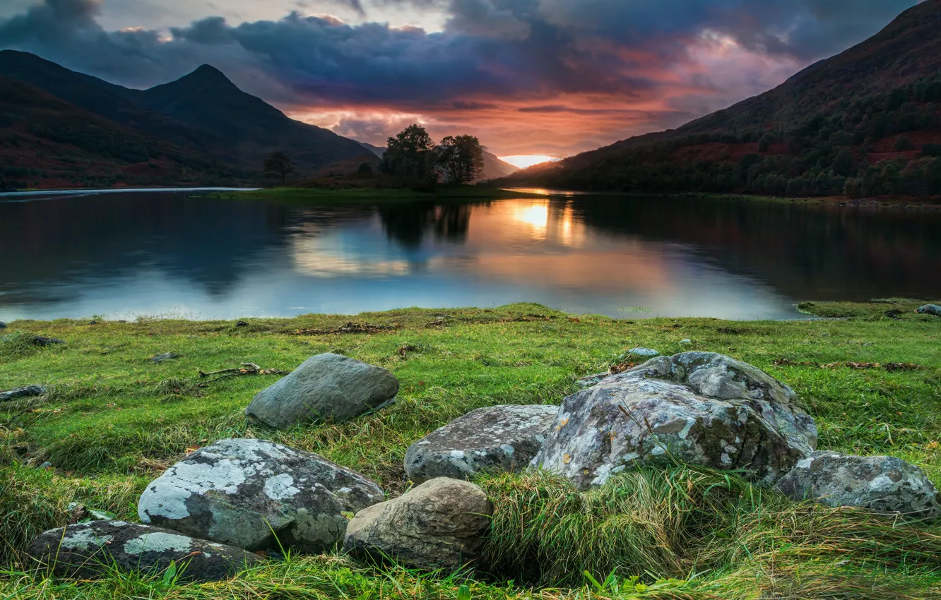 Photo wallpaper greens, forest, grass, the sun, clouds, trees, landscape, sunset