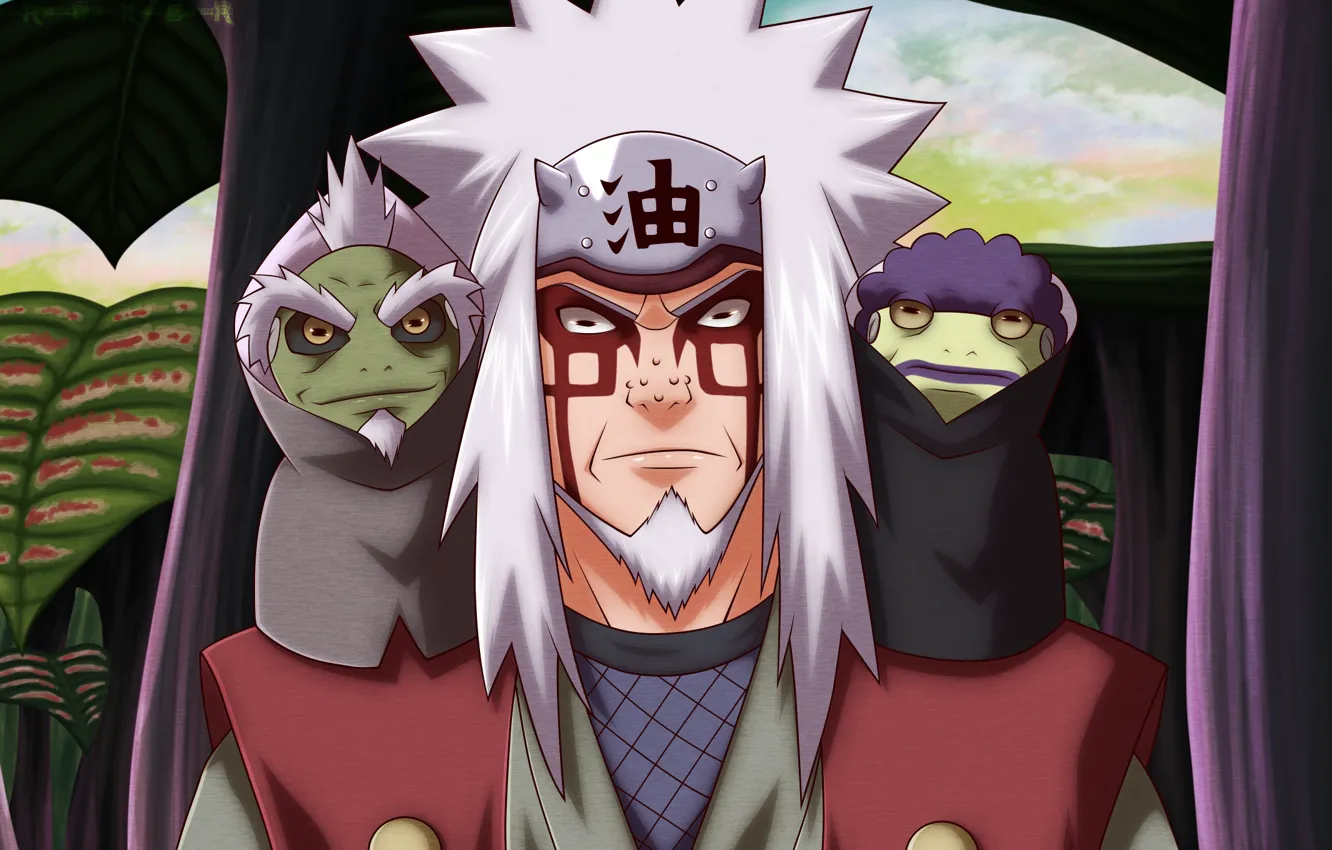 Photo wallpaper Naruto, Naruto, toad, Jiraiya
