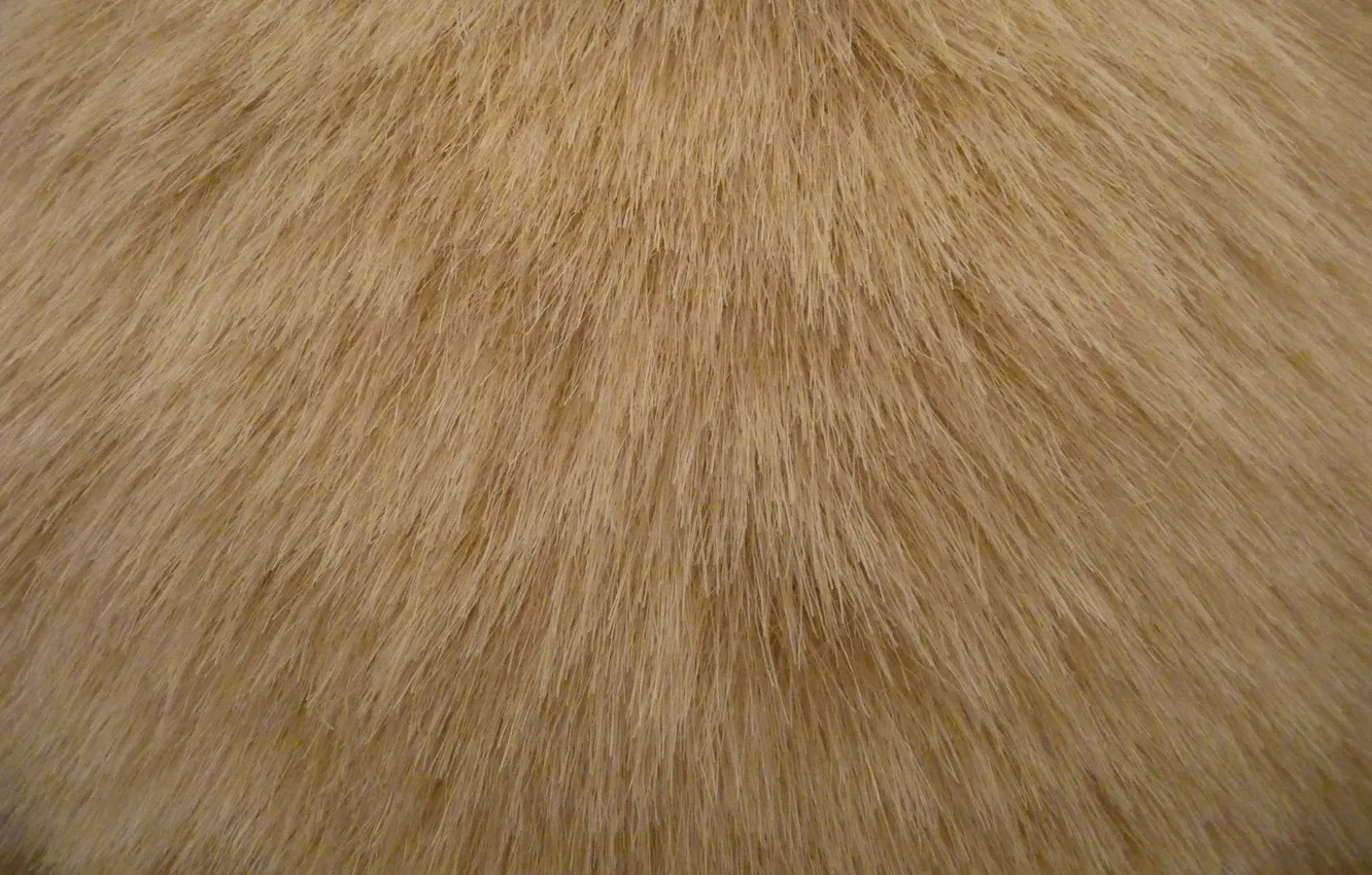 Photo wallpaper texture, wool, fur