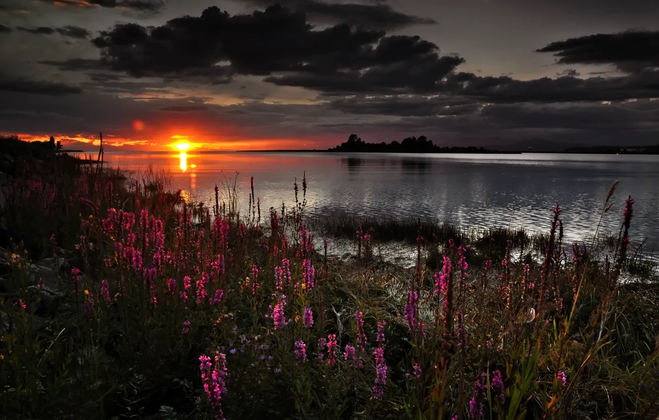 Photo wallpaper clouds, sunset, flowers