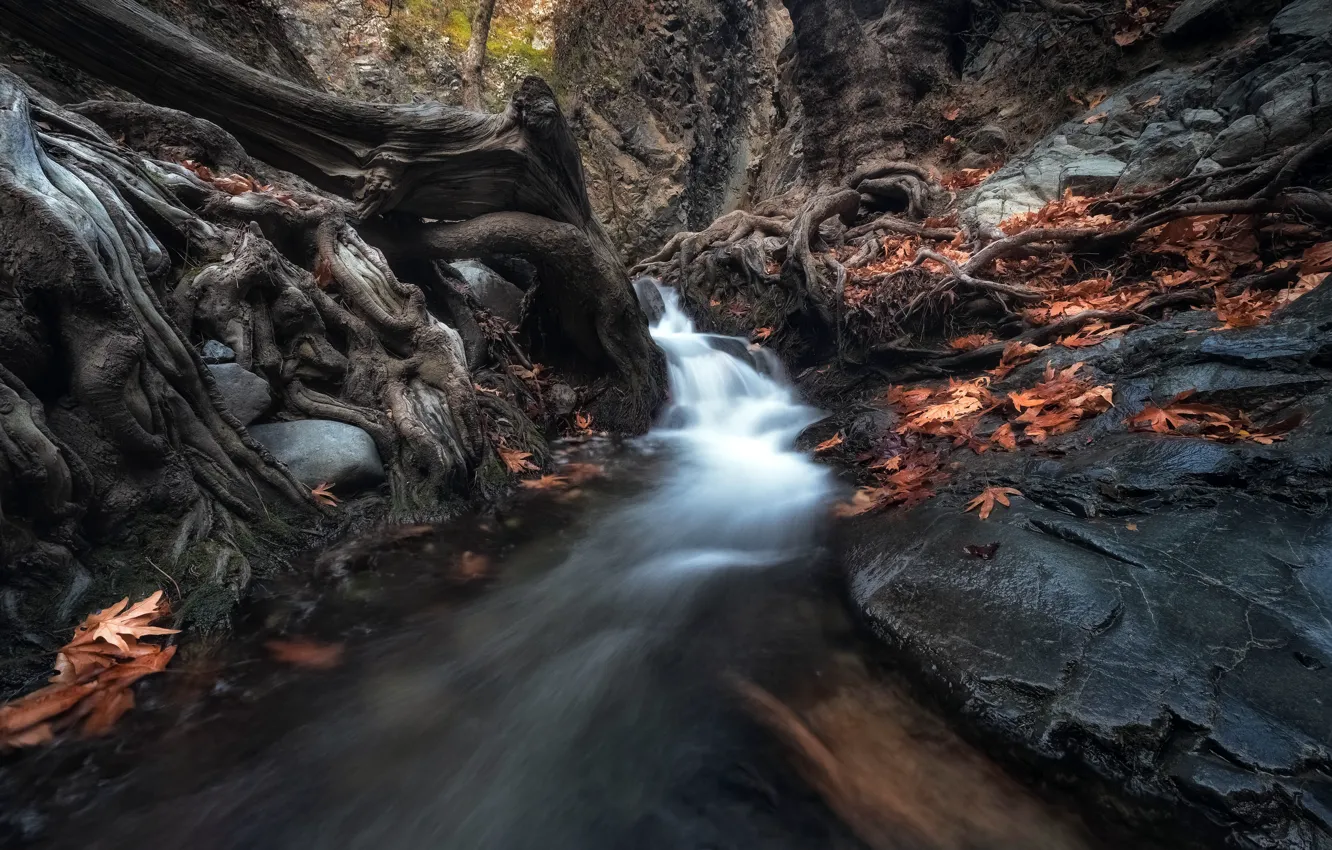 Photo wallpaper Mountain, Waterfall, Cyprus, Forest Cascade, Moniatis, Limassol District