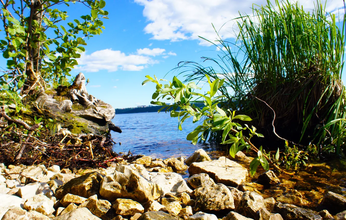 Photo wallpaper summer, water, river, green grass, Volga