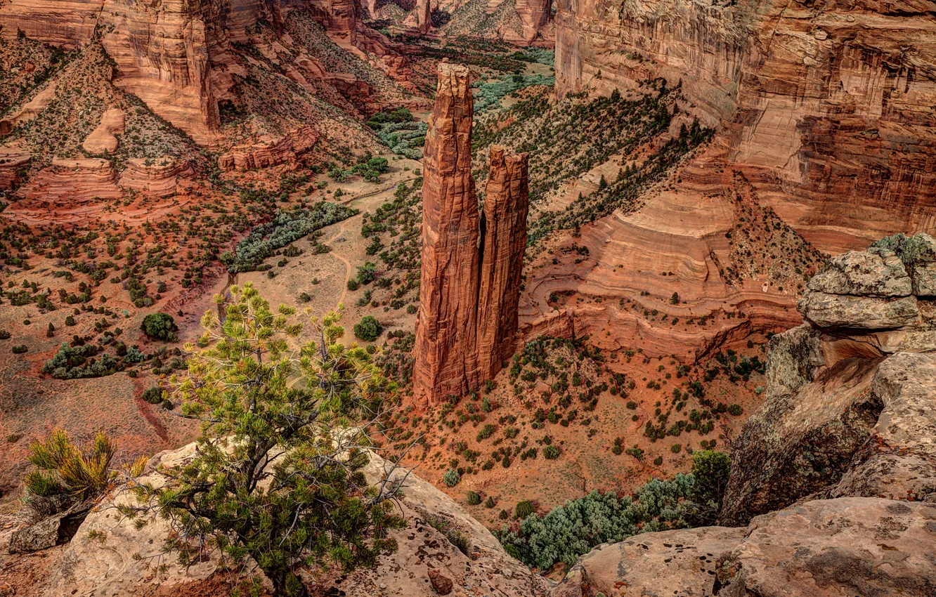 Photo wallpaper nature, rocks, canyon, USA, the bushes