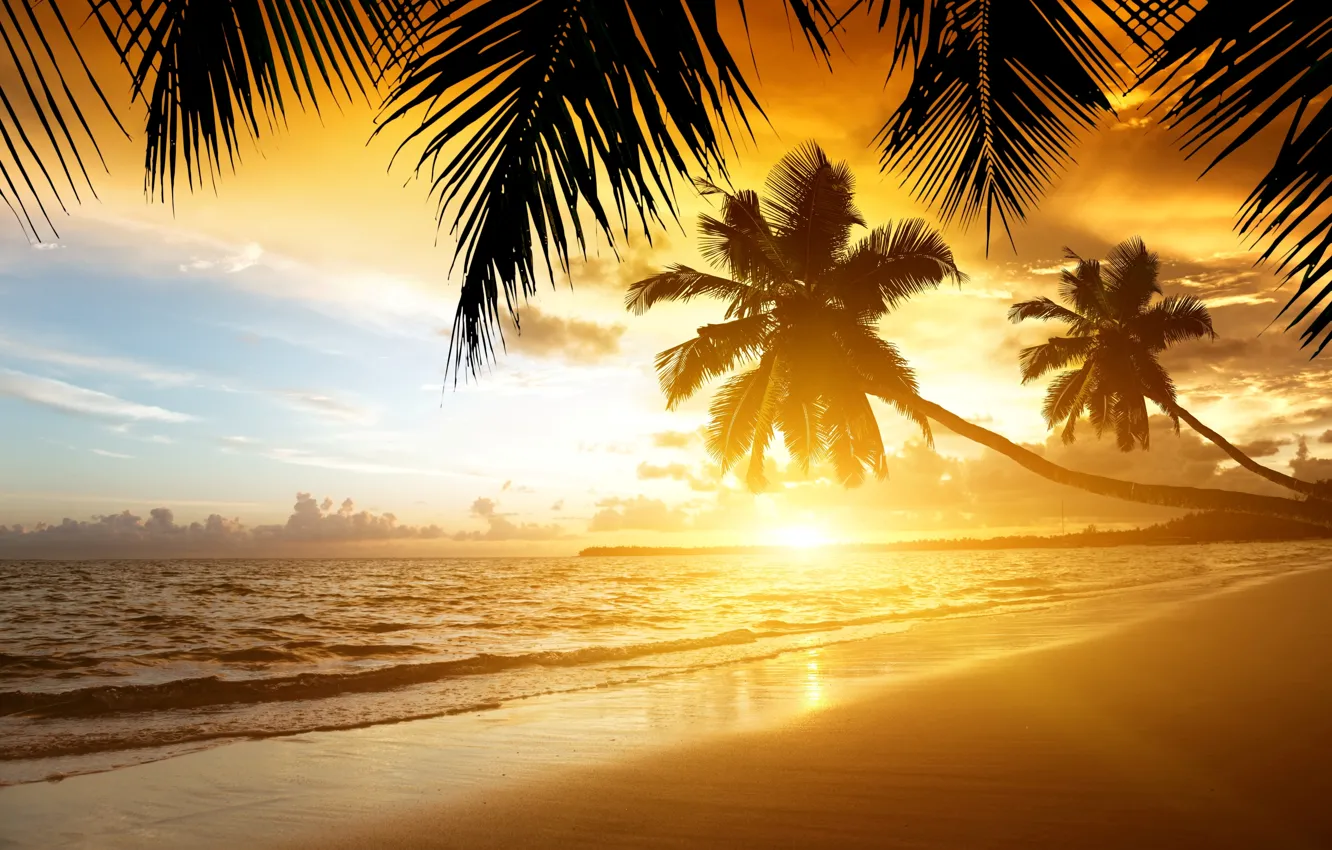 Photo wallpaper sand, sea, beach, sunset, tropics, palm trees, shore, summer