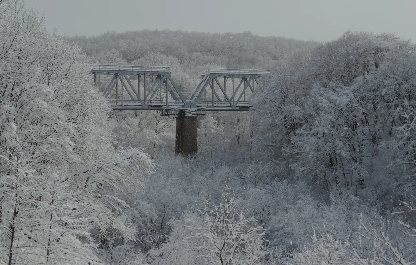 Photo wallpaper winter, snow, bridge, nature, railroad, Kuban