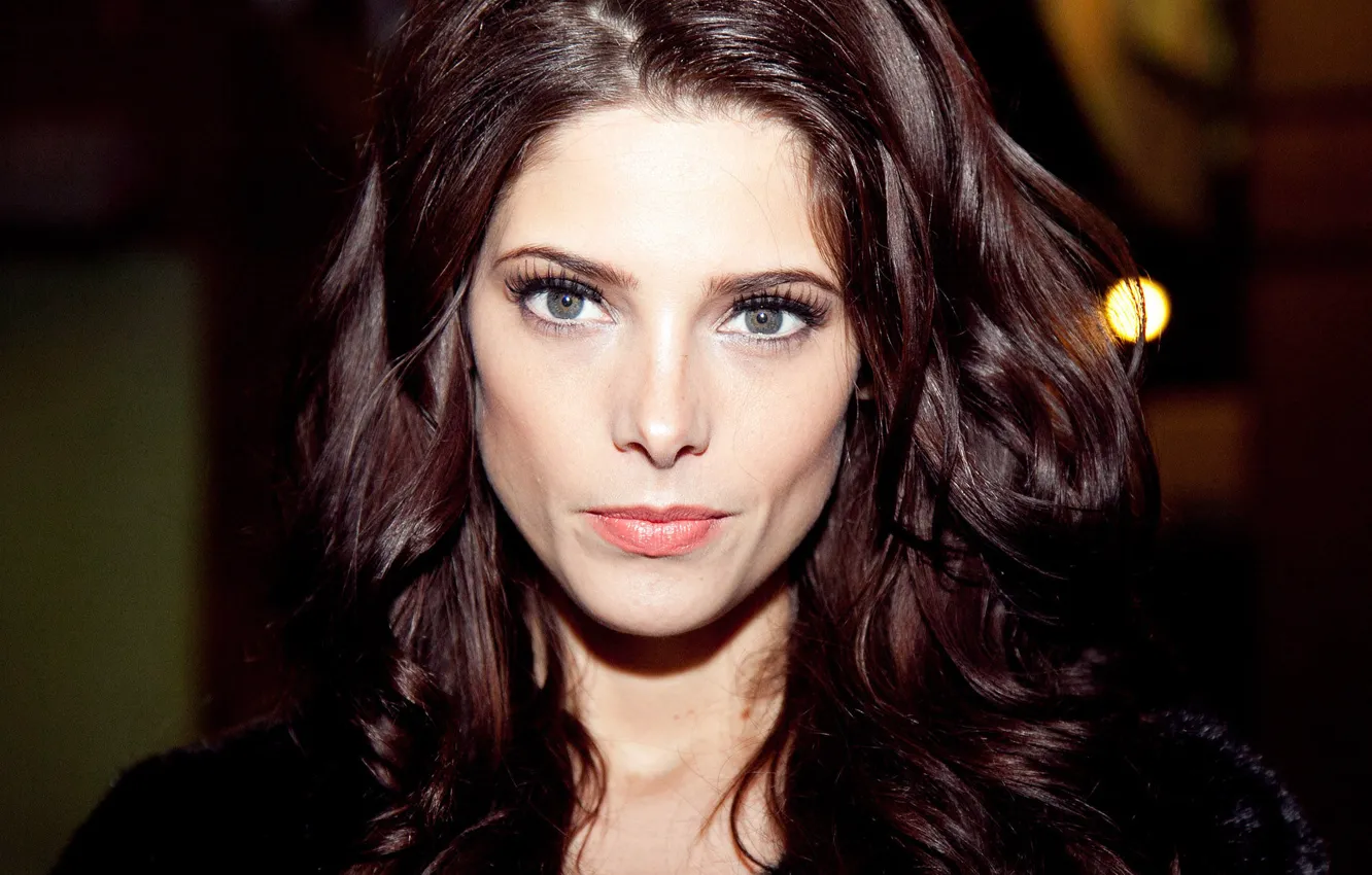 Photo wallpaper hair, look, Ashley Greene, background, actress, Ashley Greene, makeup, brunette