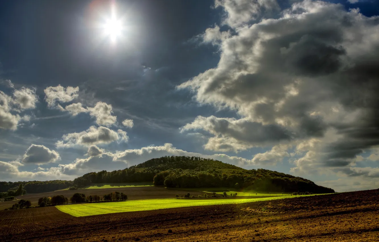 Photo wallpaper field, forest, the sky, the sun, clouds, Germany, Wassenach