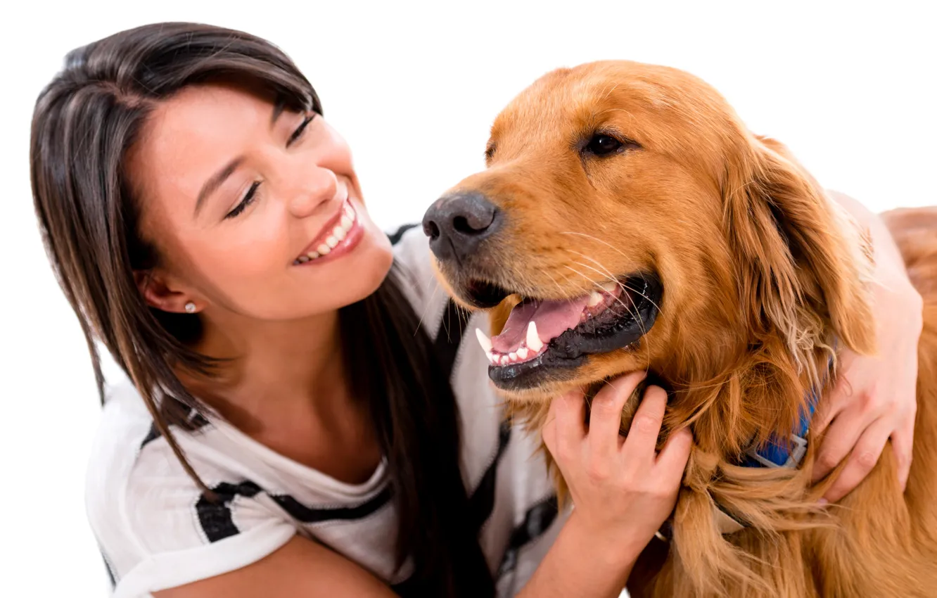 Photo wallpaper girl, smile, dog, brunette, white background, Retriever