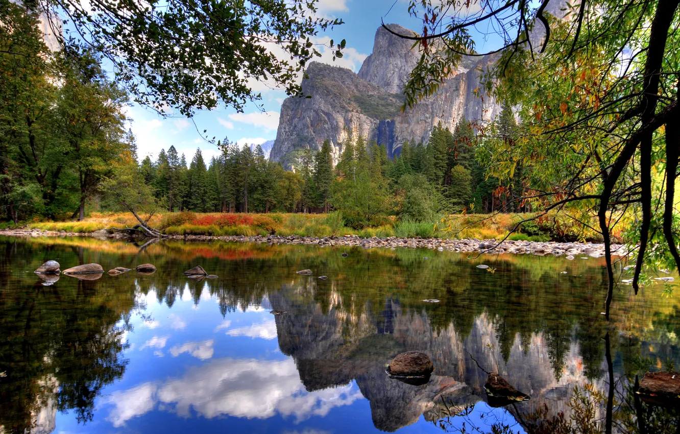Photo wallpaper water, branches, lake, stones, mountain