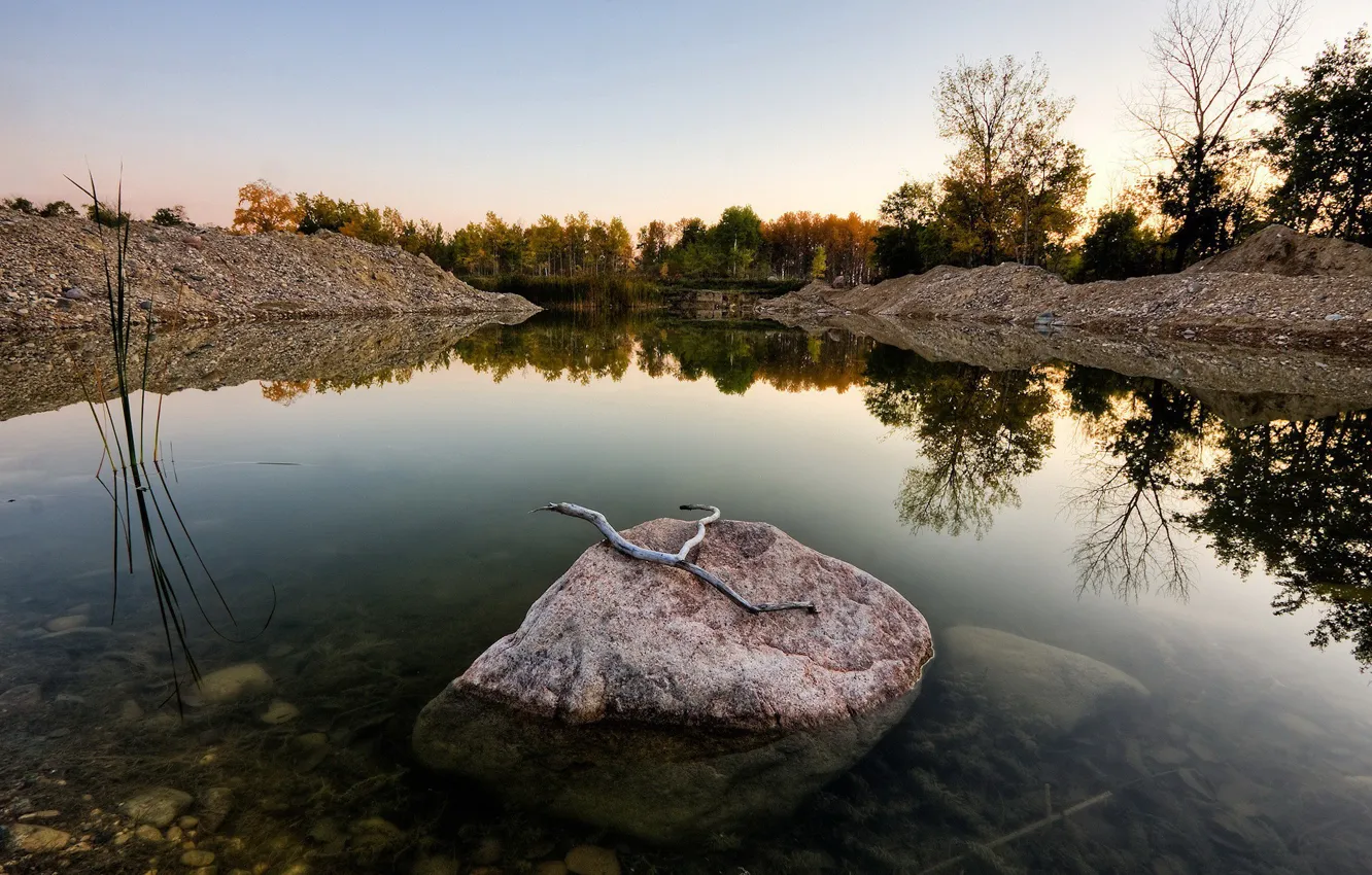 Photo wallpaper branches, lake, stones