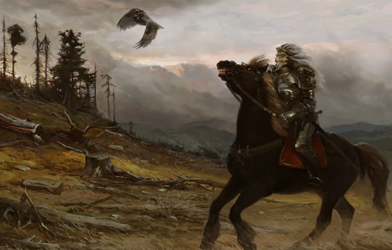 Photo wallpaper mountains, bird, villain, rider, Yuriy Mazurkin, Koschei The Immortal