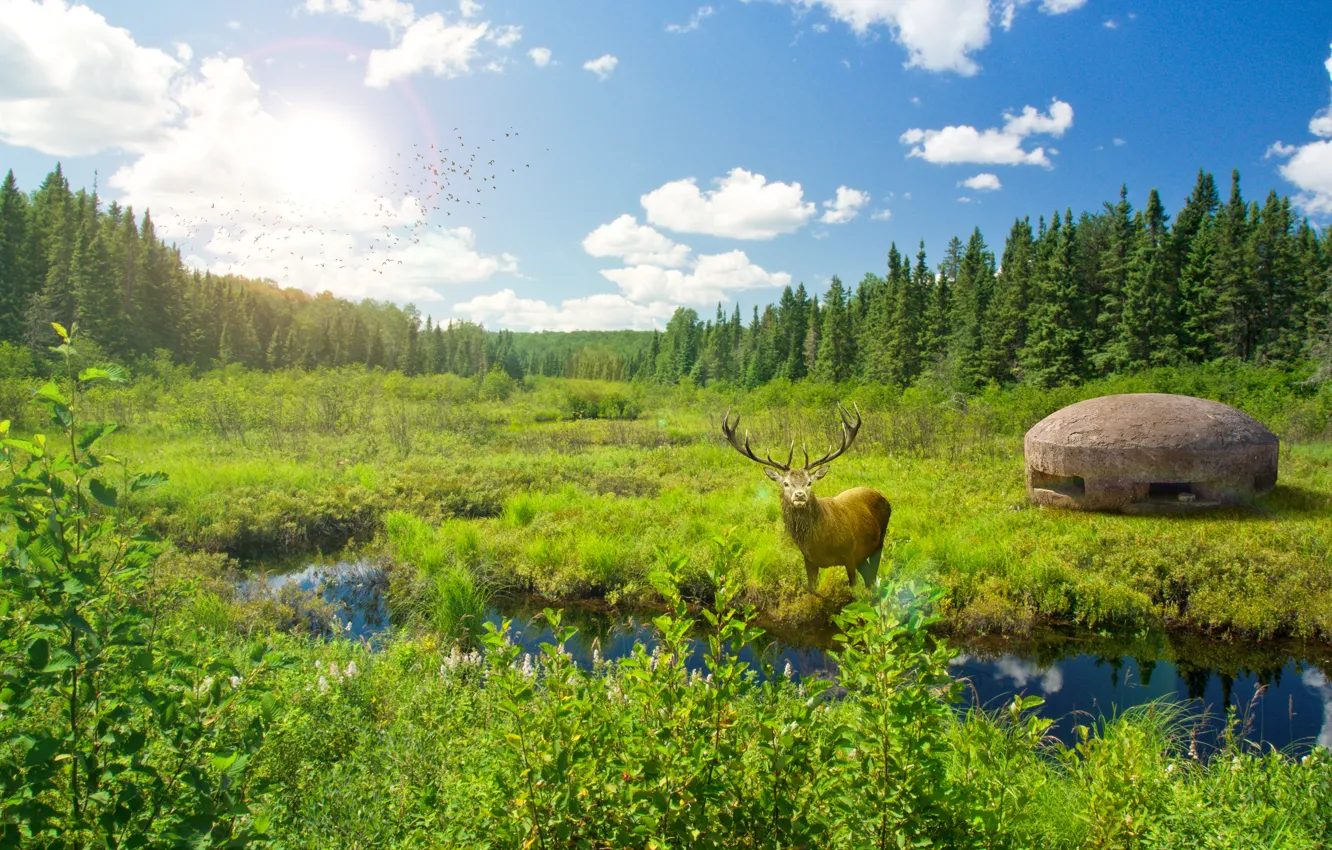 Photo wallpaper the sky, clouds, trees, birds, nature, river, deer, retouching