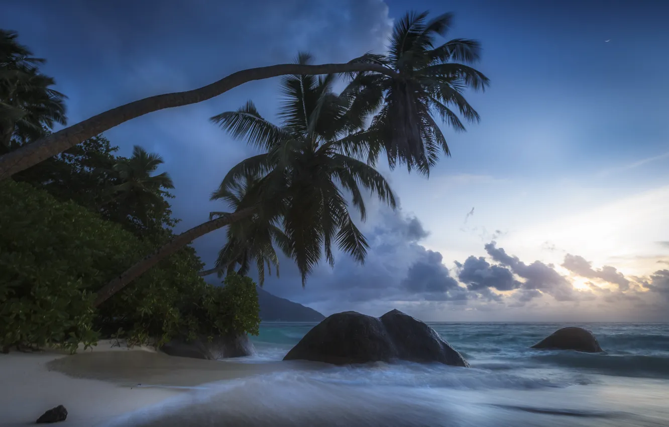 Photo wallpaper tropics, stones, palm trees, the ocean, coast, The Indian ocean, Seychelles, Indian Ocean
