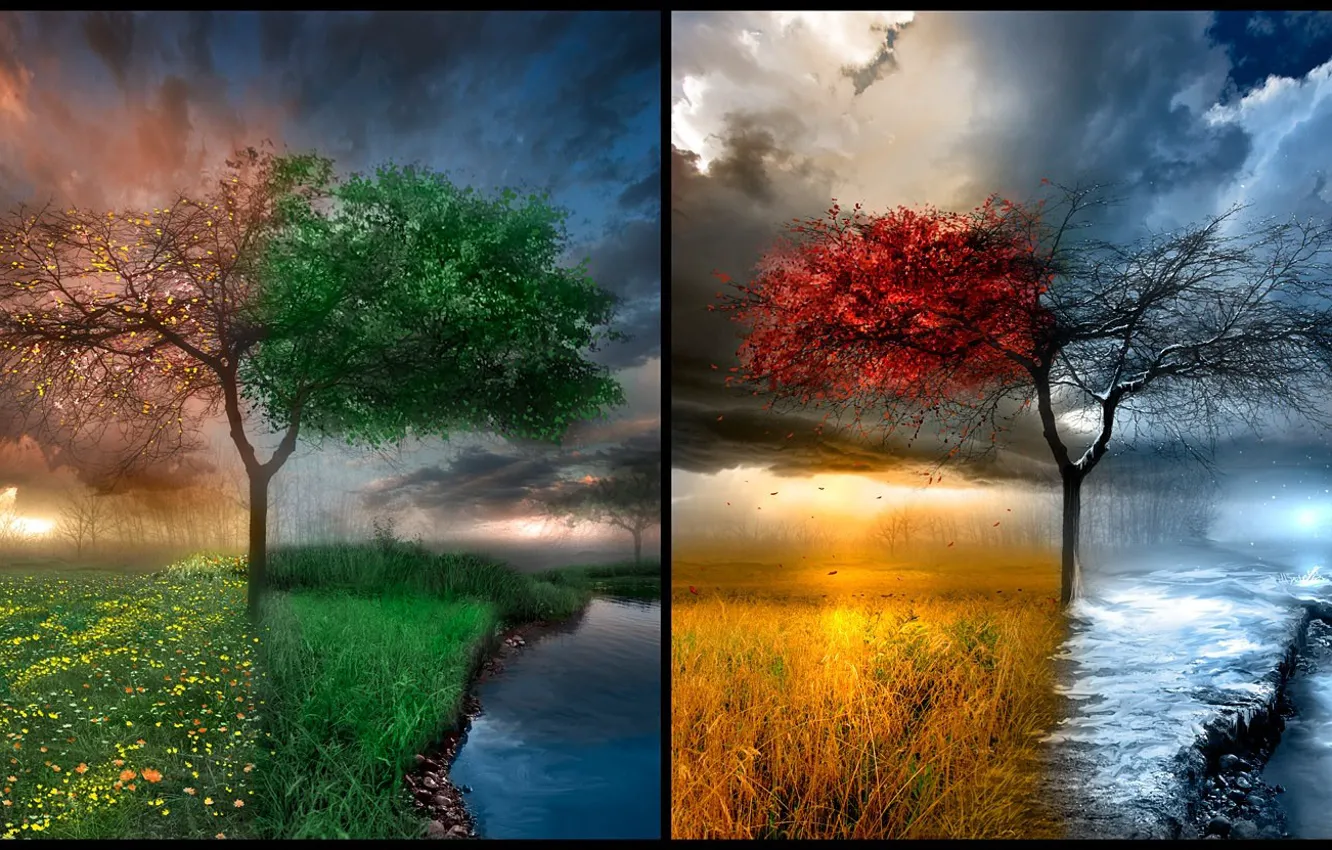 Photo wallpaper nature, place, tree, seasons, natural beauty