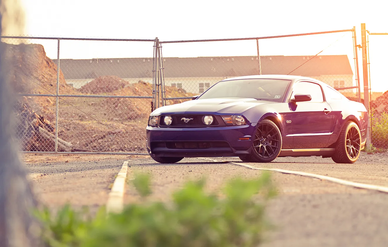 Photo wallpaper blue, glare, the fence, Mustang, Ford, Mustang, muscle car, Ford