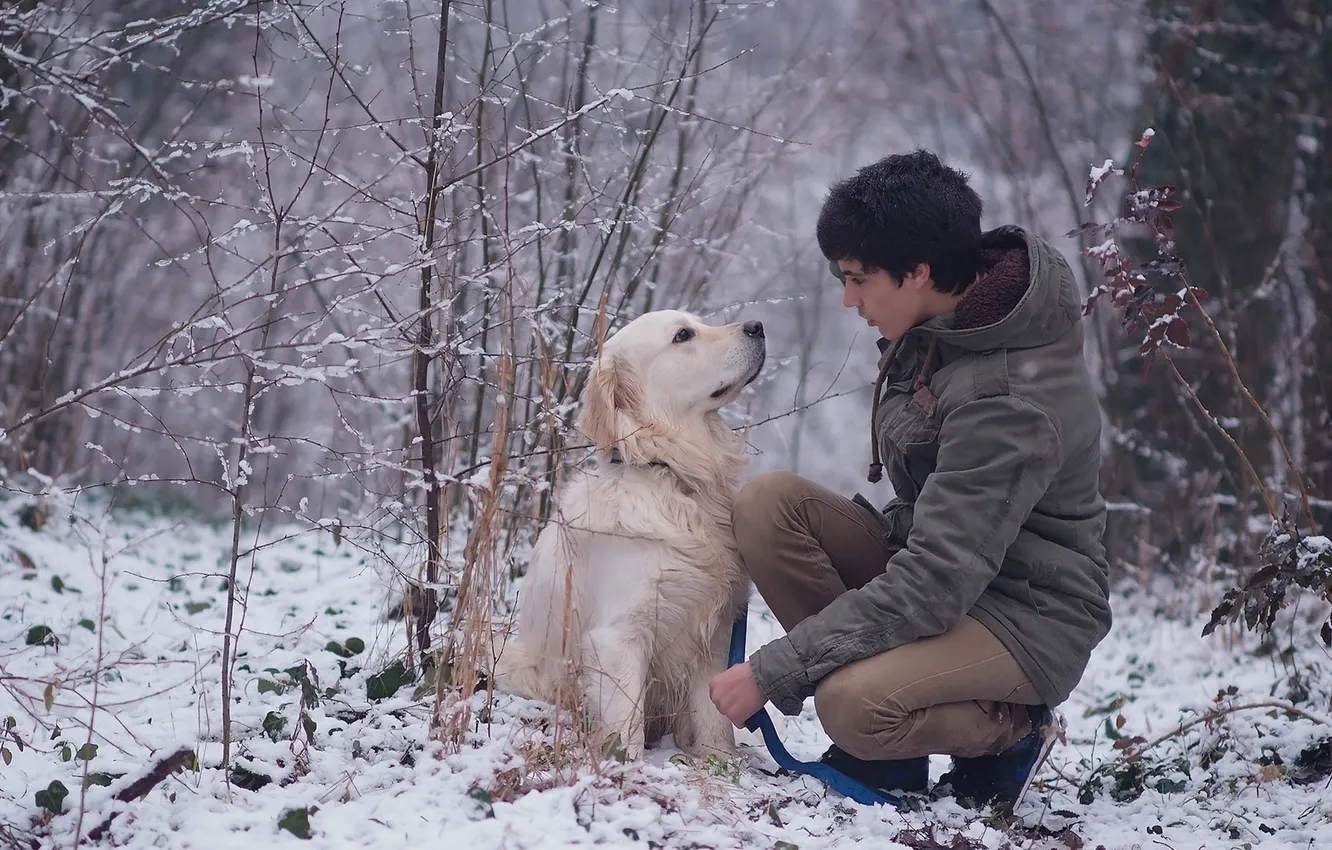 Photo wallpaper mood, dog, guy