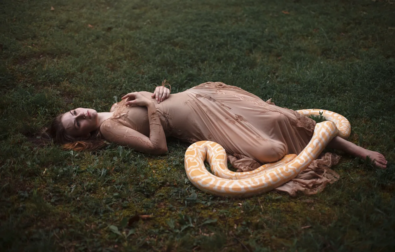 Photo wallpaper girl, snake, Python