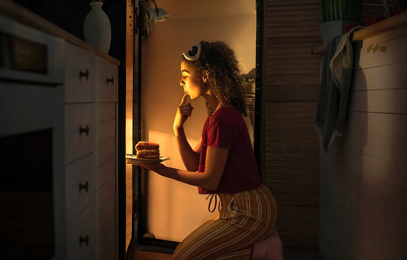 Photo wallpaper refrigerator, cake, Dmitry Begma, night hunting