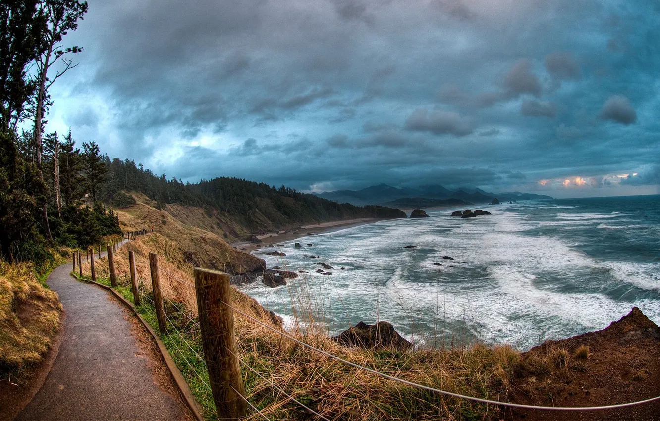 Photo wallpaper sea, wave, beach, the sky, trees, the ocean, the fence, track