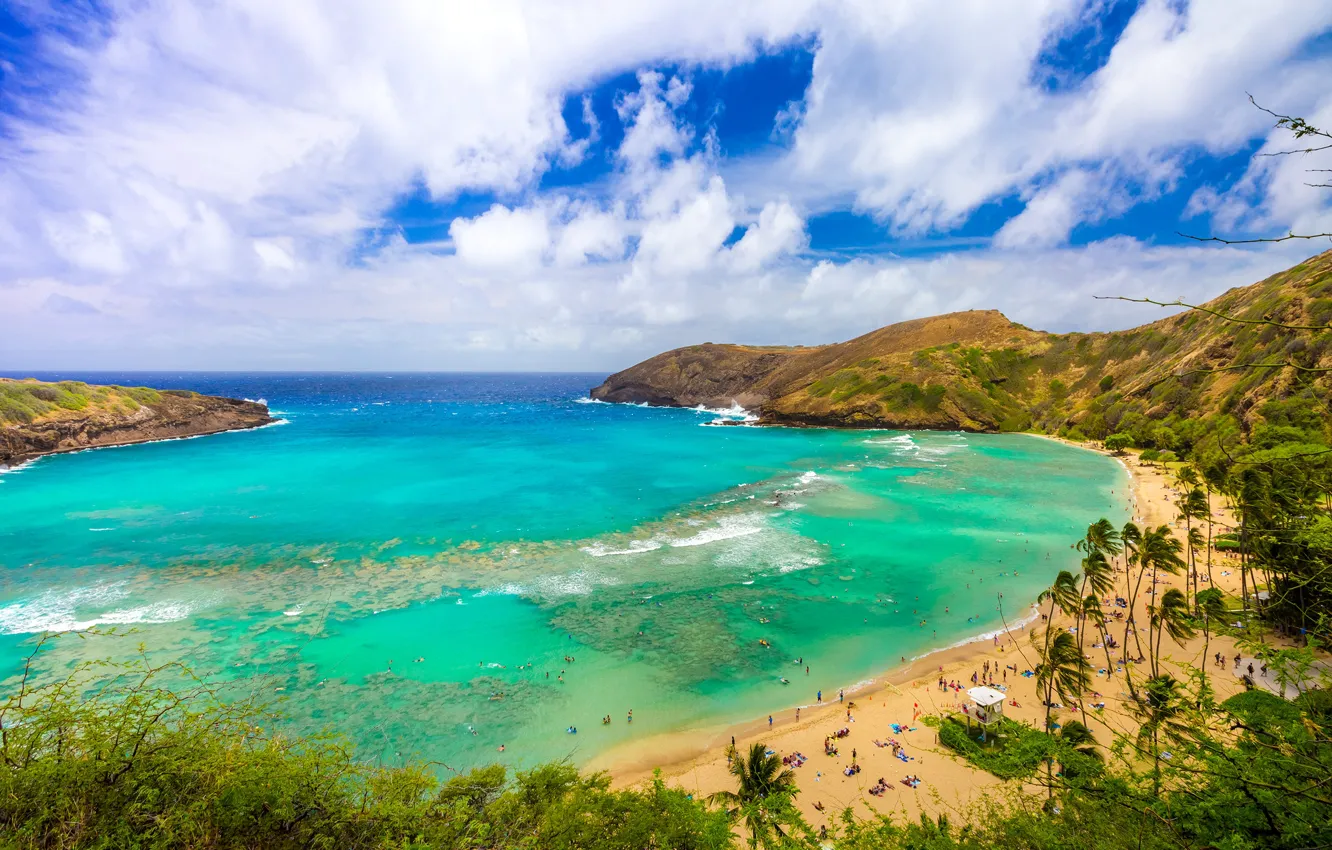 Photo wallpaper sea, beach, the sky, clouds, tropics, palm trees, stay, coast