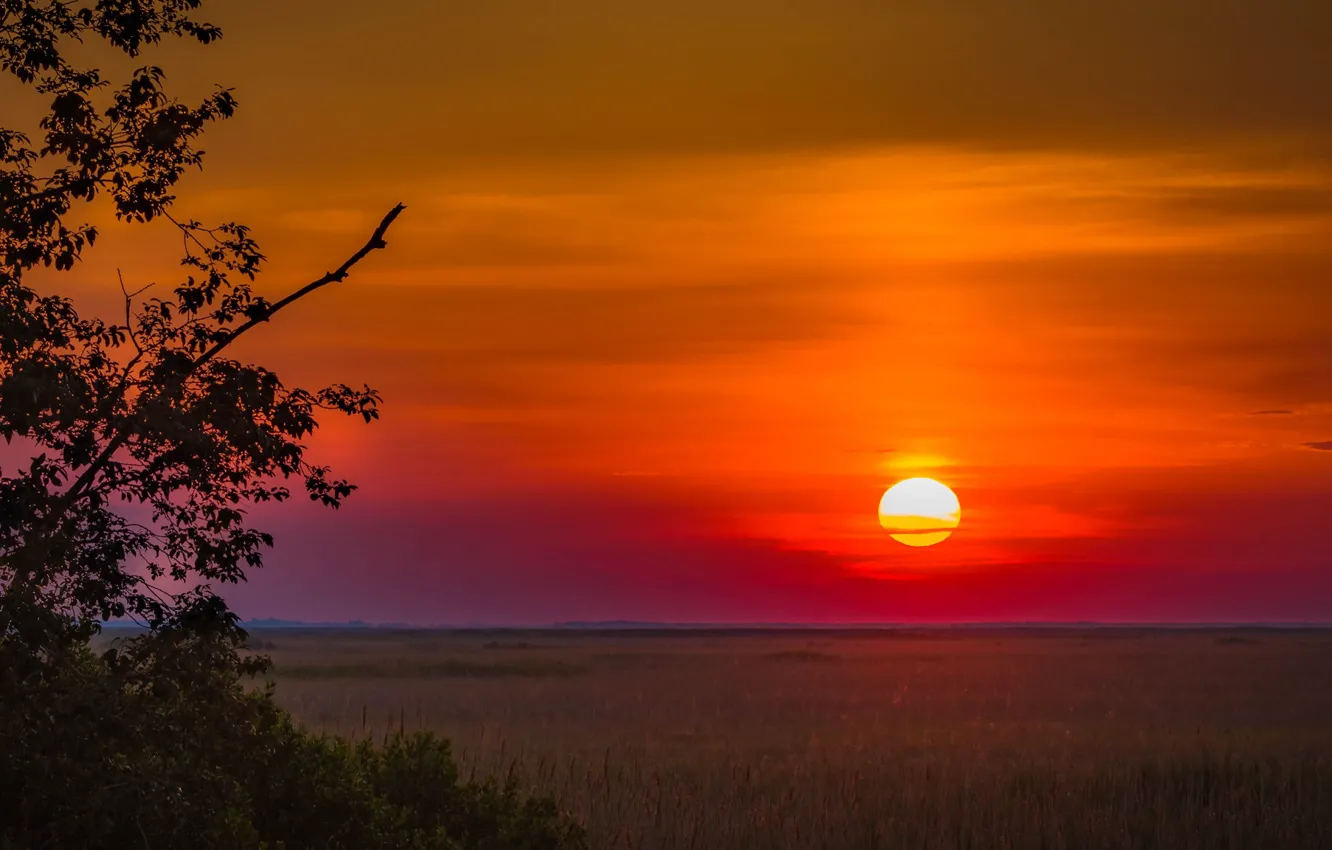 Photo wallpaper field, the sun, sunset