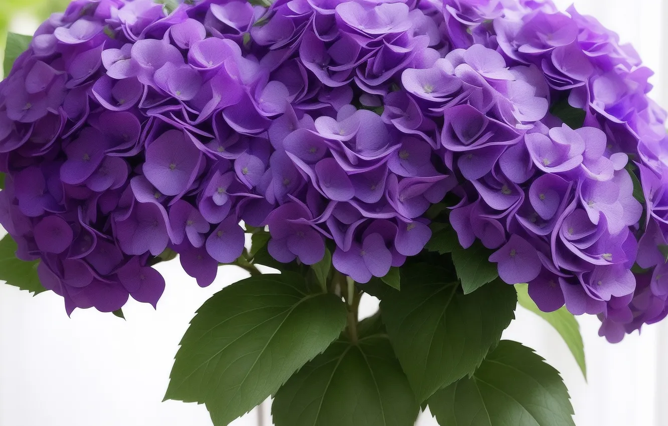 Photo wallpaper purple, flowers, green, green, tenderness, figure, colored, plant