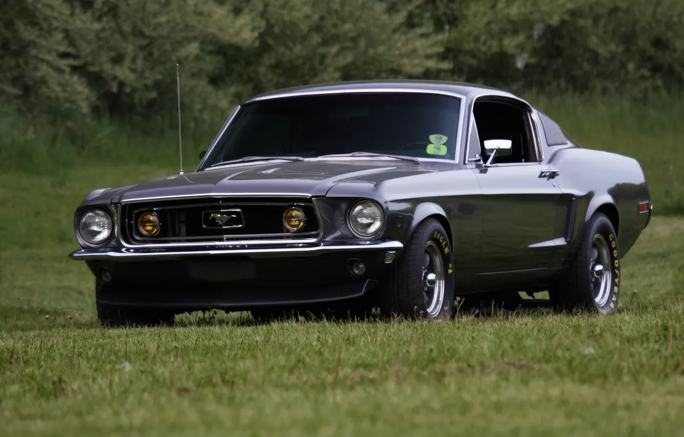 Wallpaper mustang, ford, old, school for mobile and desktop, section ...