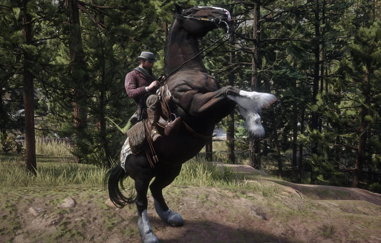 Photo wallpaper HDR, Wood, Game, Trees, John Marston, Horse, UHD, Red Dead Redemption 2