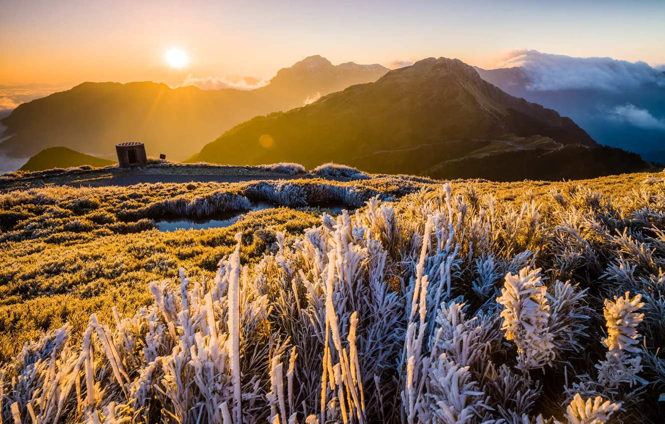 Photo wallpaper frost, grass, the sun, light, mountains, fog, hills, vegetation
