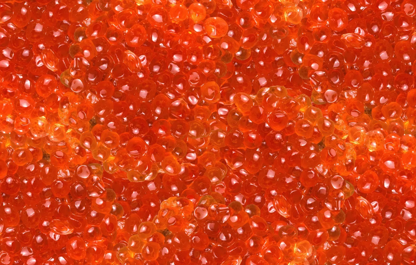 Photo wallpaper grain, red, caviar, delicious