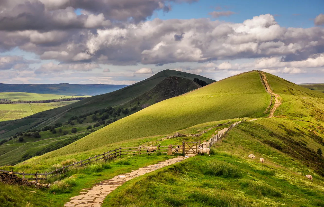 Photo wallpaper summer, the sky, clouds, hills, the fence, sheep, England