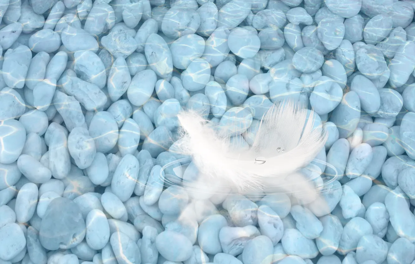 Photo wallpaper river, stones, pebbles, float