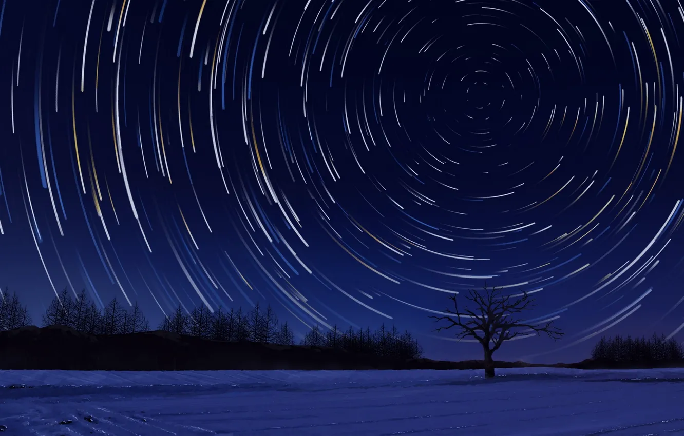 Photo wallpaper the sky, stars, trees, nature, art