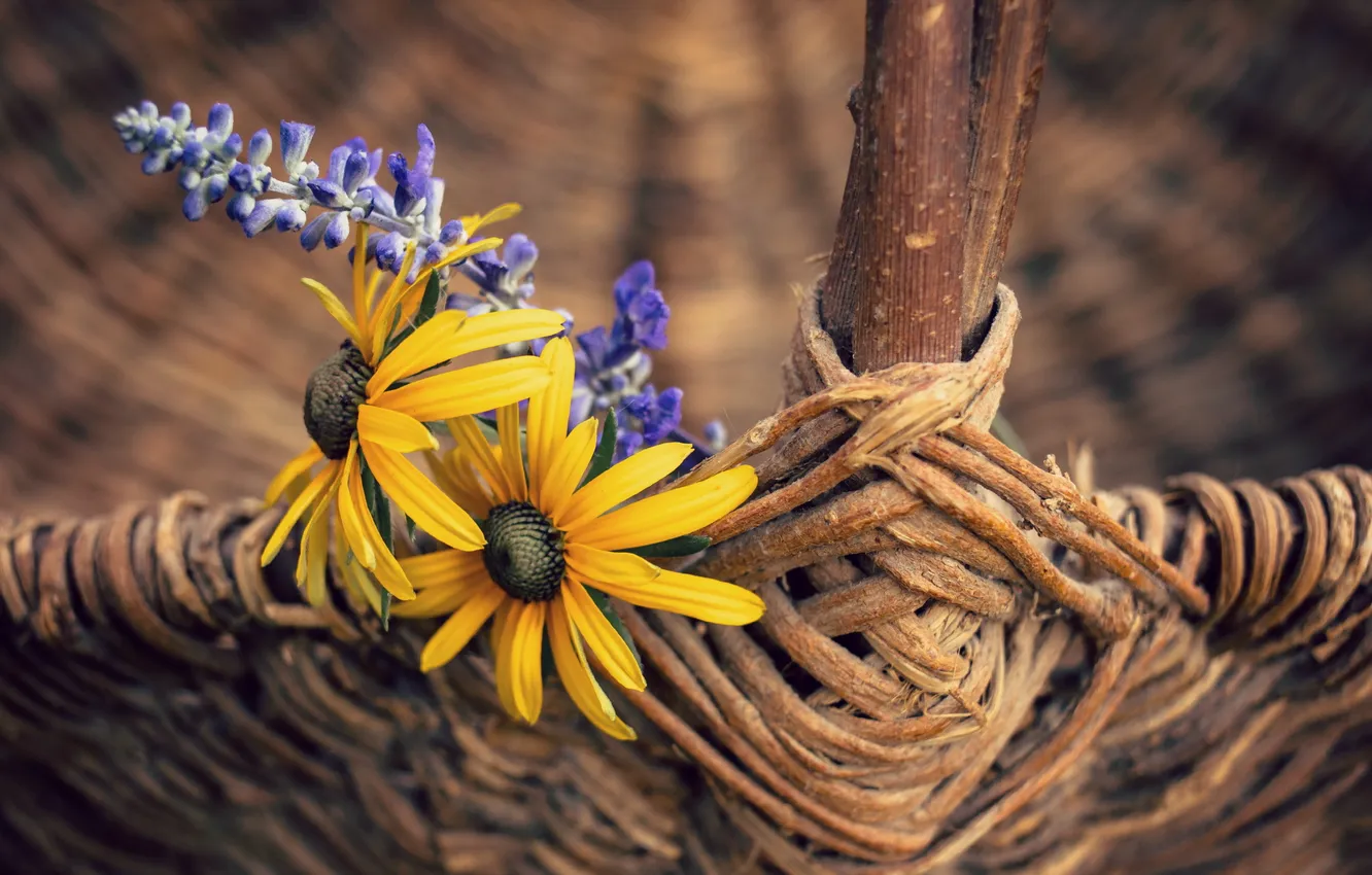 Photo wallpaper flowers, background, basket