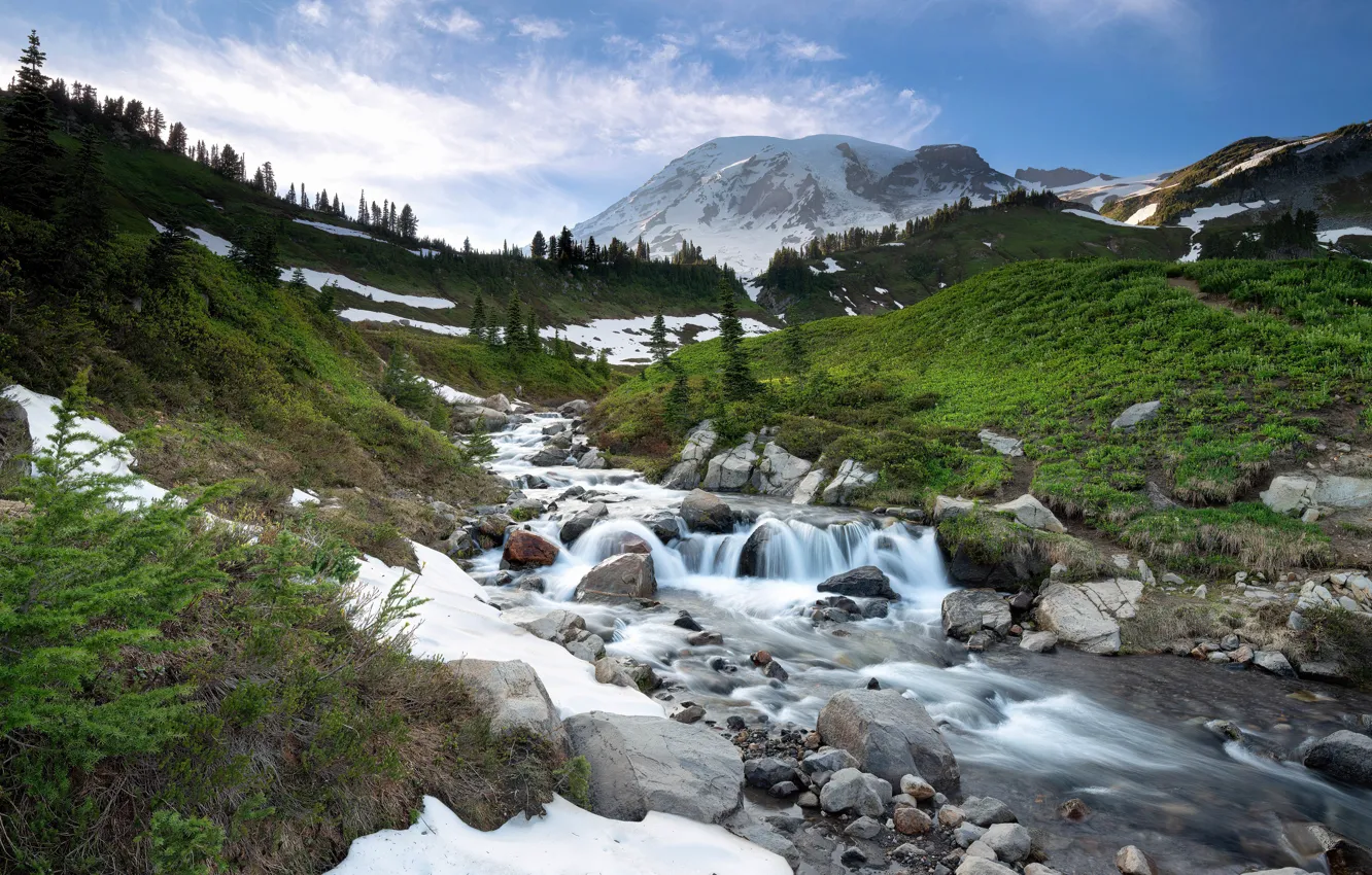 Photo wallpaper forest, grass, snow, mountains, stream, stones, grass, mountains