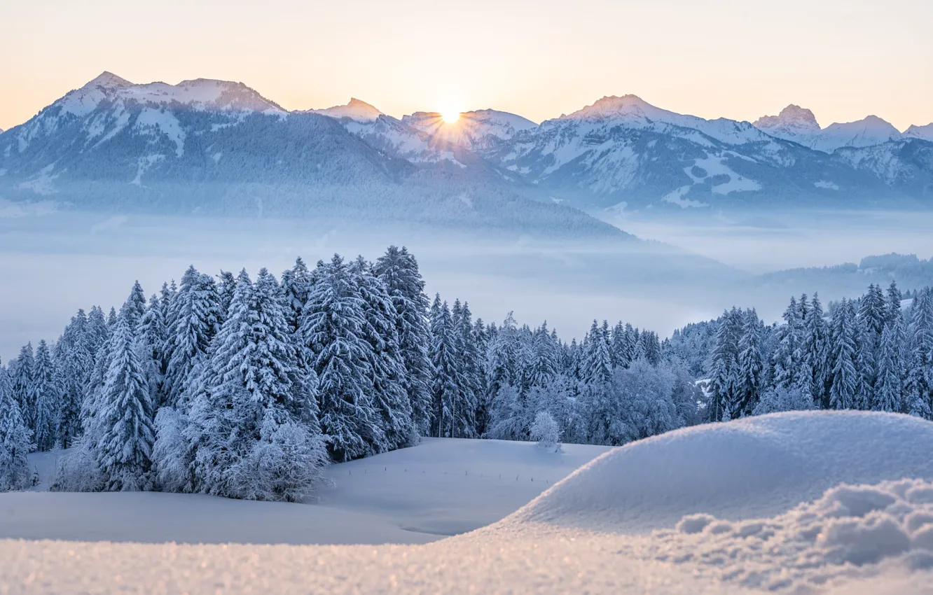 Photo wallpaper winter, frost, forest, the sky, the sun, light, snow, mountains