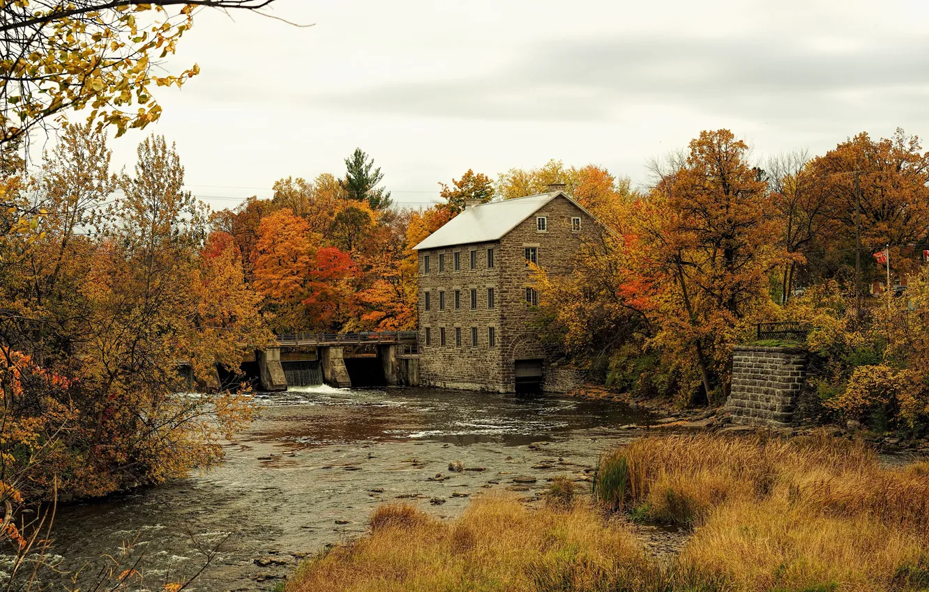 Photo wallpaper autumn, trees, yellow, bridge, home, Canada, river, Ottawa