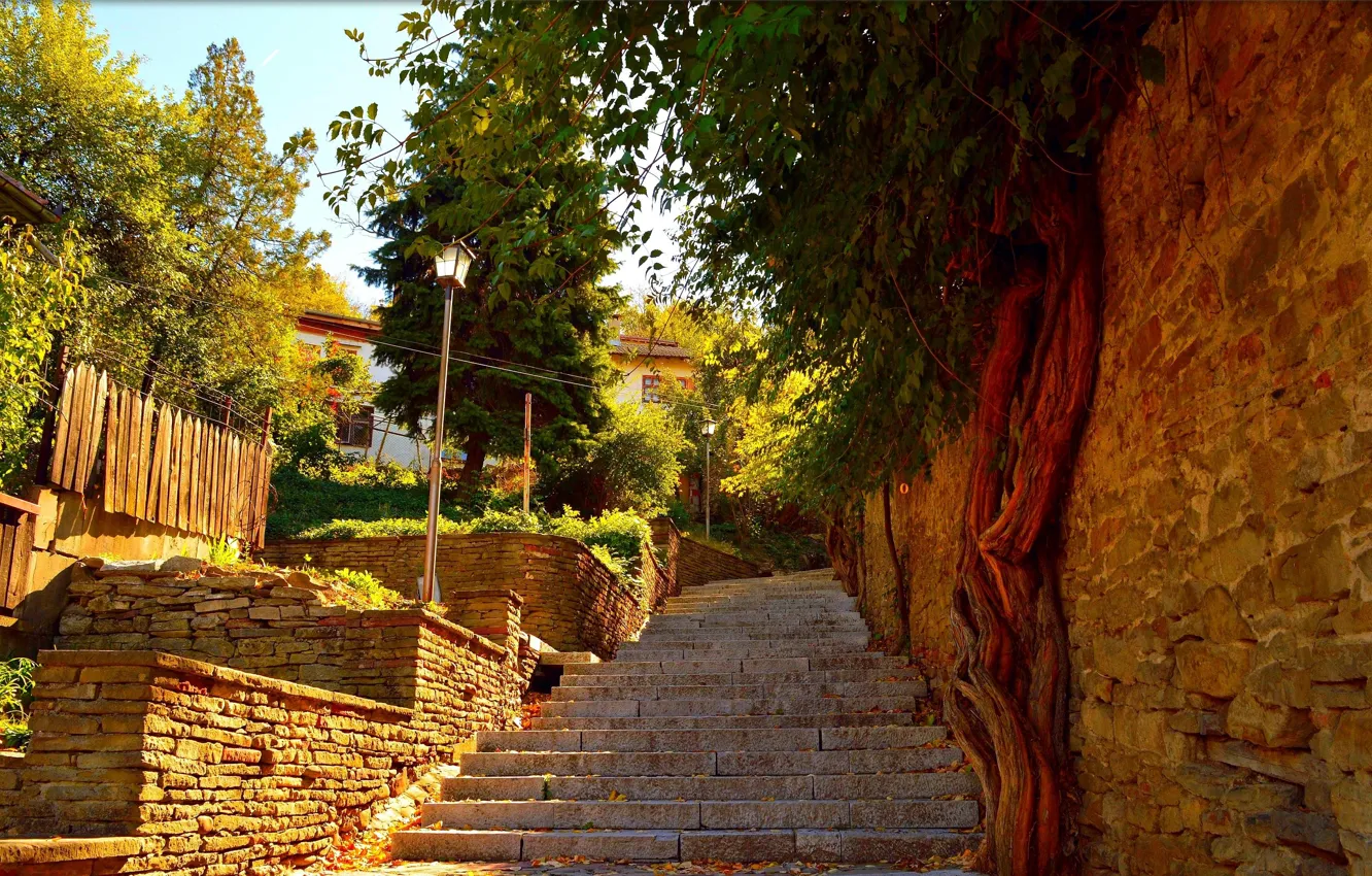 Photo wallpaper lights, stage, wicket, street