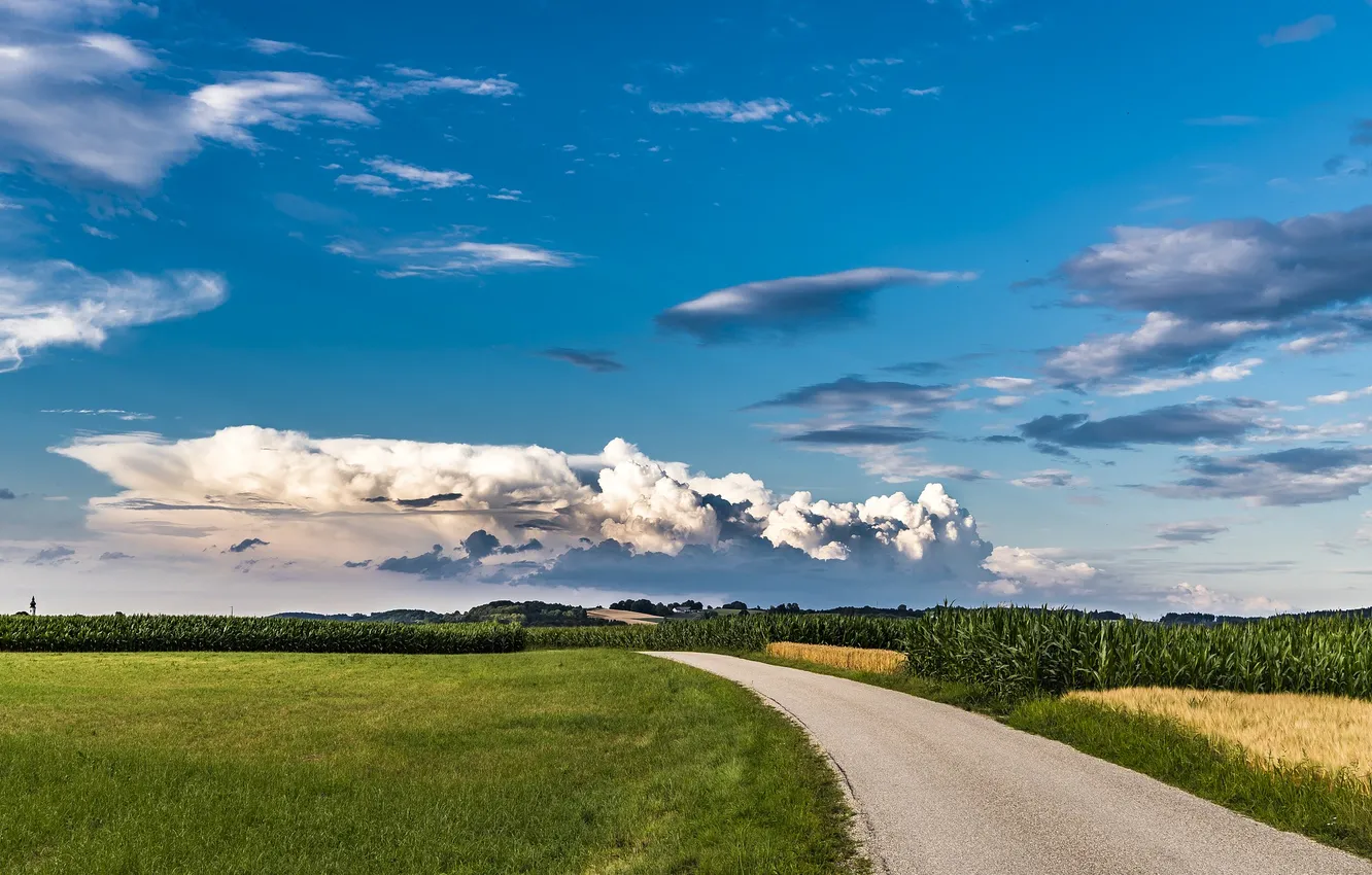 Photo wallpaper road, field, the sky, grass, clouds, landscape, nature, plant