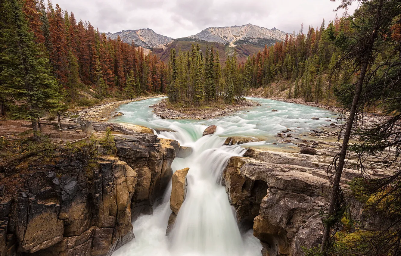 Photo wallpaper forest, trees, mountains, stones, rocks, waterfall, river, Jasper National Park