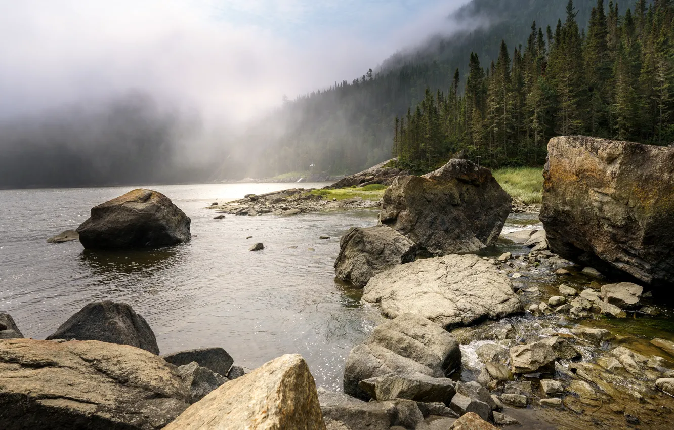 Photo wallpaper forest, mountains, fog, stones, shore, ate, haze, pond