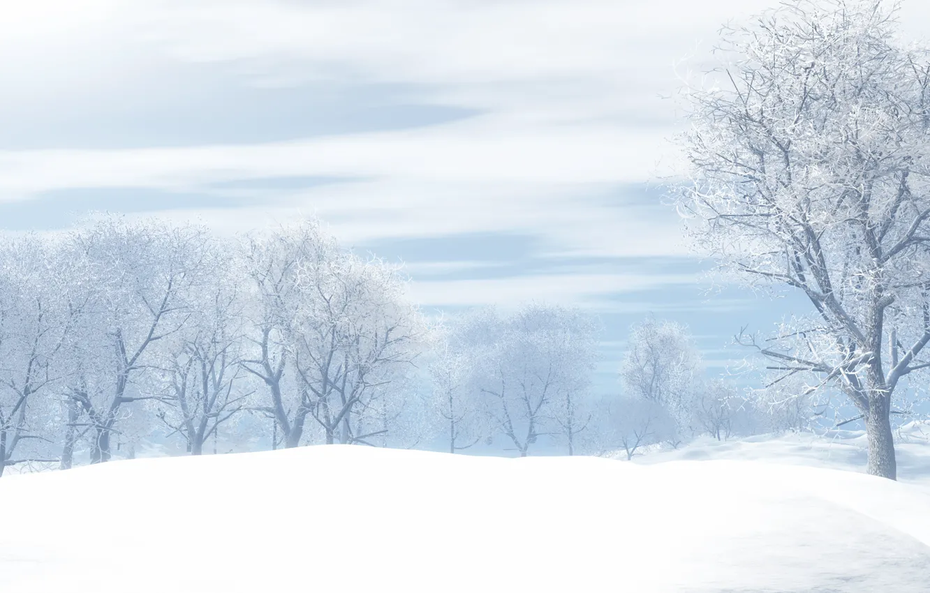 Photo wallpaper winter, frost, field, forest, the sky, clouds, snow, trees