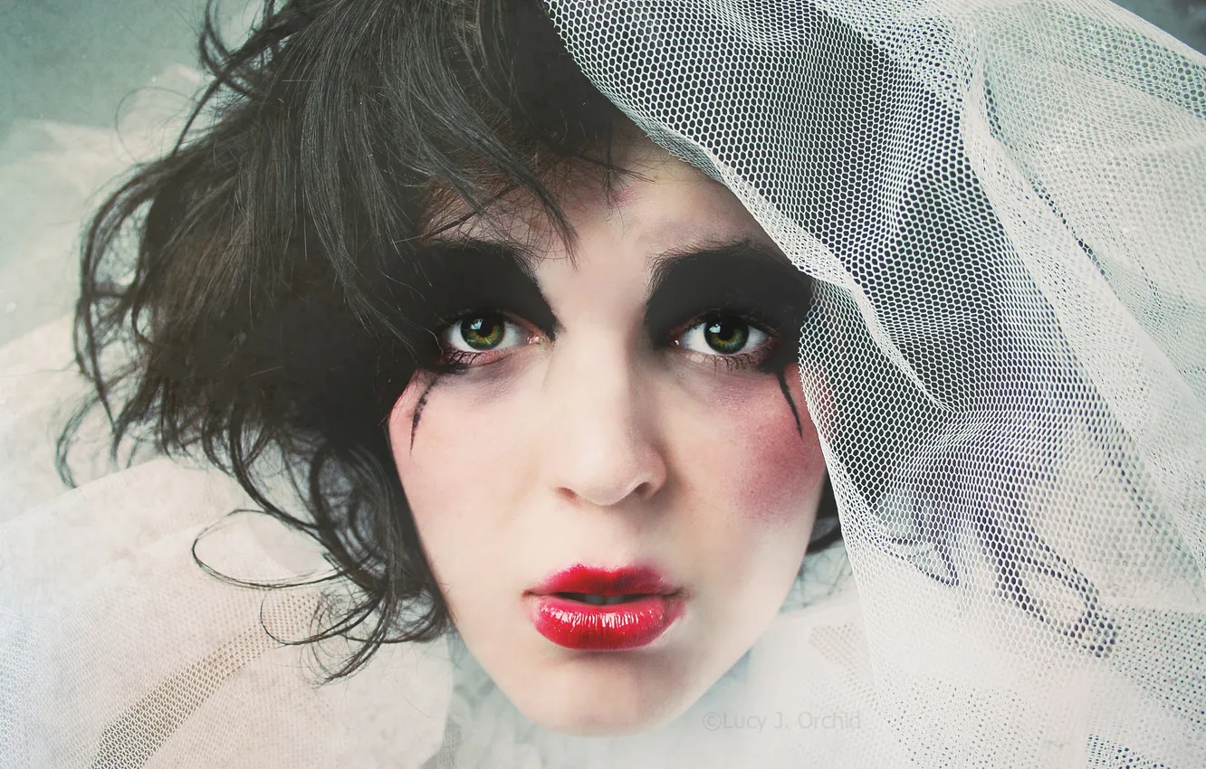 Photo wallpaper look, girl, mesh, brunette, disheveled, green-eyed