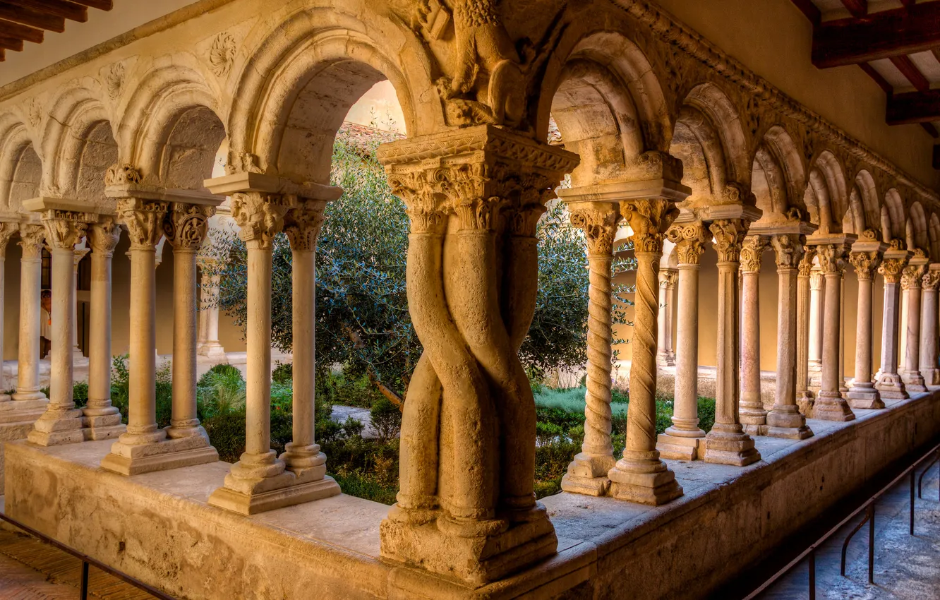 Photo wallpaper trees, France, yard, Cathedral, columns, the monastery, AIX-EN-Provence