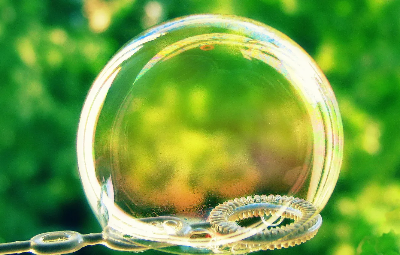 Photo wallpaper BACKGROUND, SPHERE, GREENS, BALL, SOAP, BUBBLE, The SURFACE