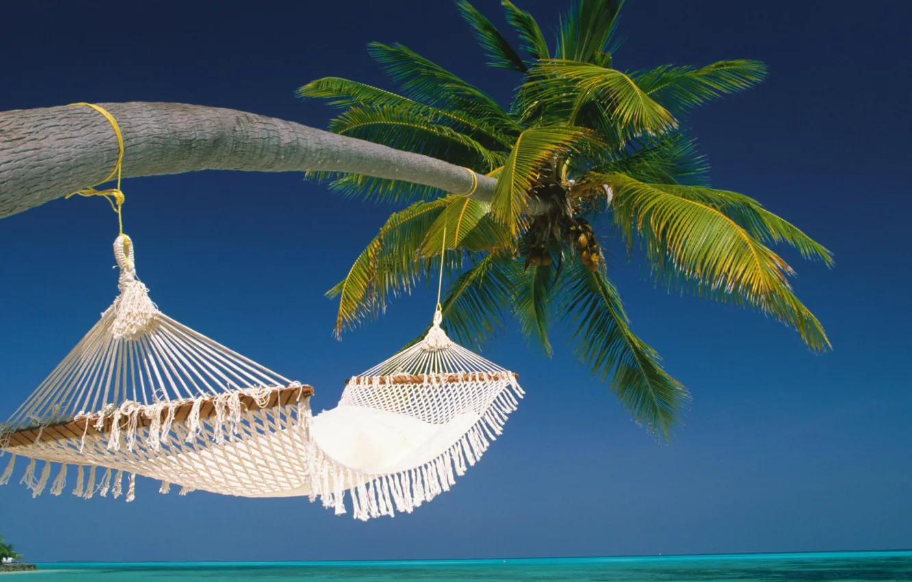 Photo wallpaper beach, Palma, the ocean, island, hammock