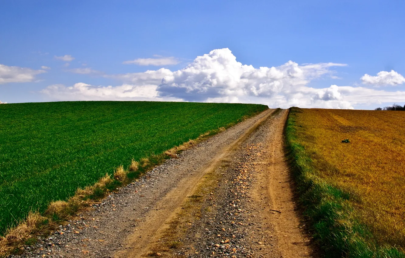 Photo wallpaper road, field, the sky, landscape