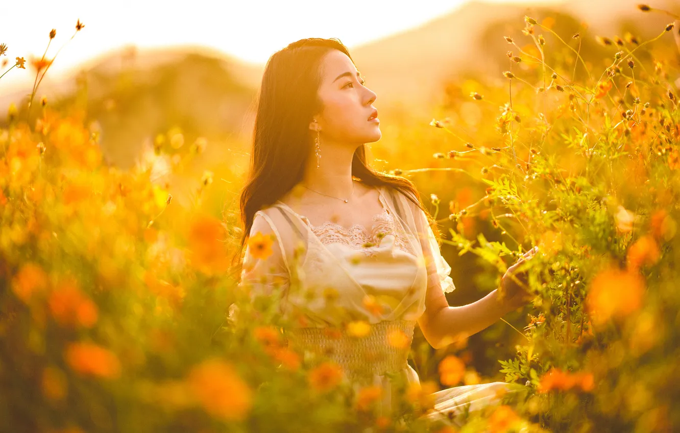 Photo wallpaper look, girl, light, nature, pose