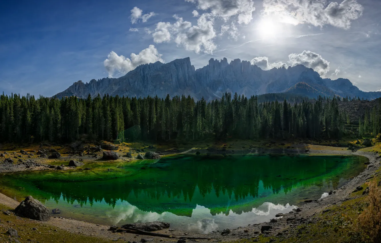 Photo wallpaper forest, the sky, the sun, clouds, light, mountains, lake, reflection